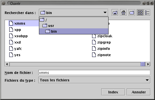 Open file dialog box@/usr/bin